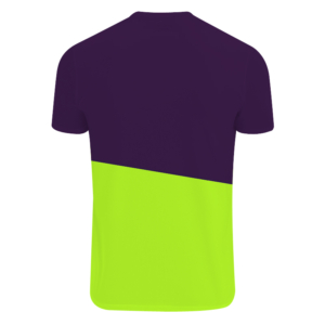 T-shirt tecnhique ikon purple